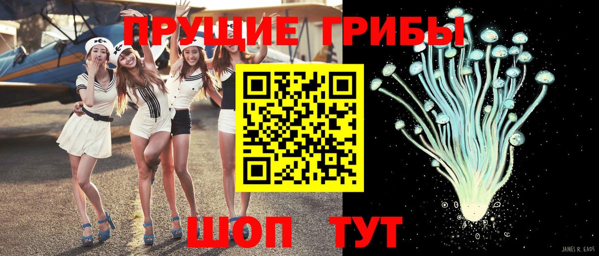 Галлюциногенные грибы Magic Shrooms  Вход с VPN  Галлюциногенные грибы мицелий  Гурьевск 